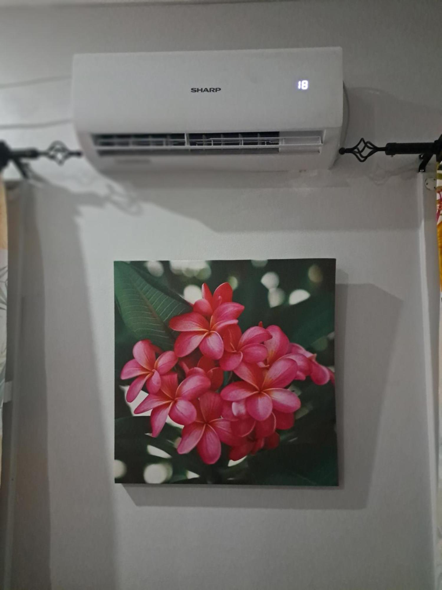 Tropical Almond Haven Bed & Breakfast Suva Ngoại thất bức ảnh